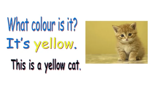 外研版（一起）一上Module 5  Unit 2 This is a yellow cat 同步备