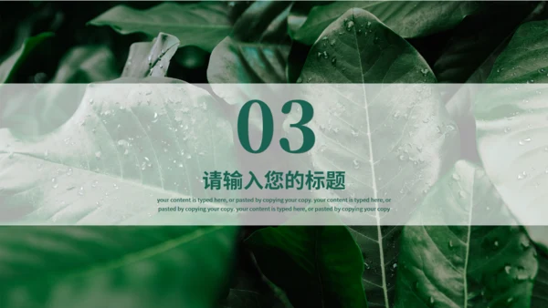 夏天的绿叶二十四节气夏至通用PPT模板