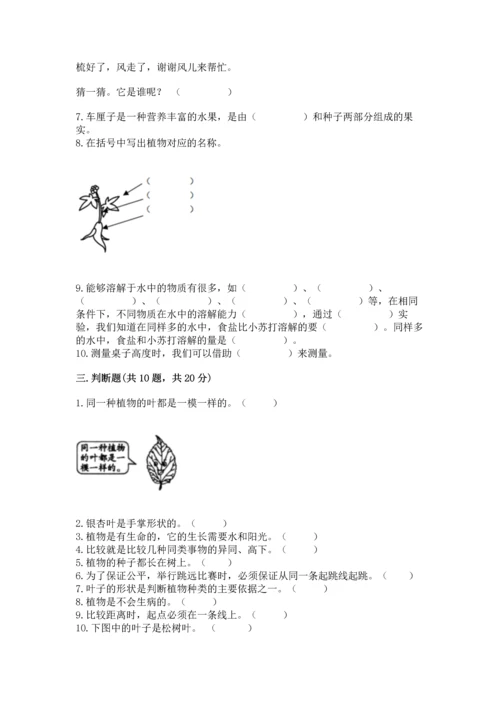 教科版一年级上册科学期末测试卷带答案下载.docx