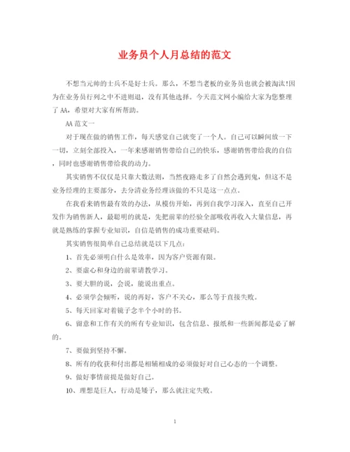 精编之业务员个人月总结的范文.docx