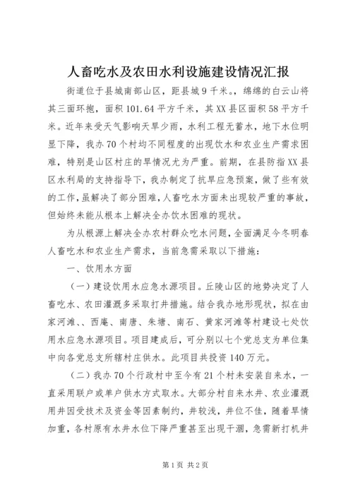 人畜吃水及农田水利设施建设情况汇报.docx