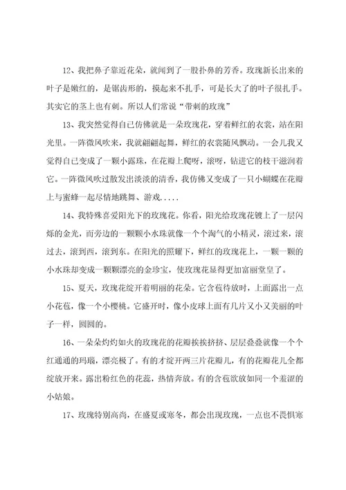 写玫瑰花的好词好句