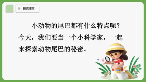 8《比尾巴》课件