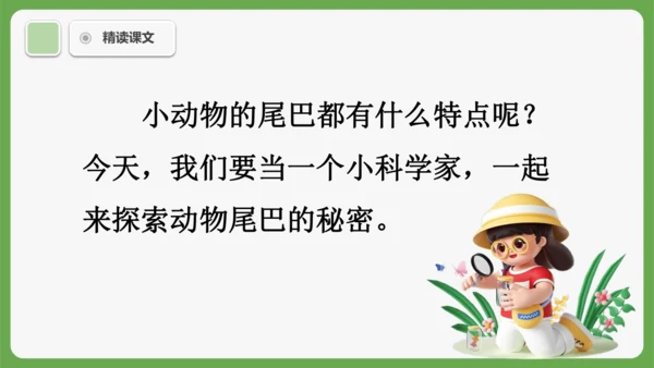 8《比尾巴》课件