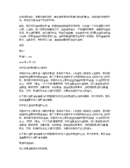 初中生对团的认识