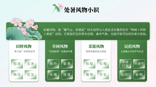 绿色中国风处暑节气知识讲座