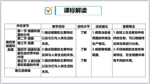 【人教八上生物期中复习考点梳理+临考押题】第四、五章 细菌、真菌和病毒（串讲课件）(共30张PPT)