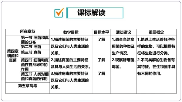 【人教八上生物期中复习考点梳理+临考押题】第四、五章 细菌、真菌和病毒（串讲课件）(共30张PPT)