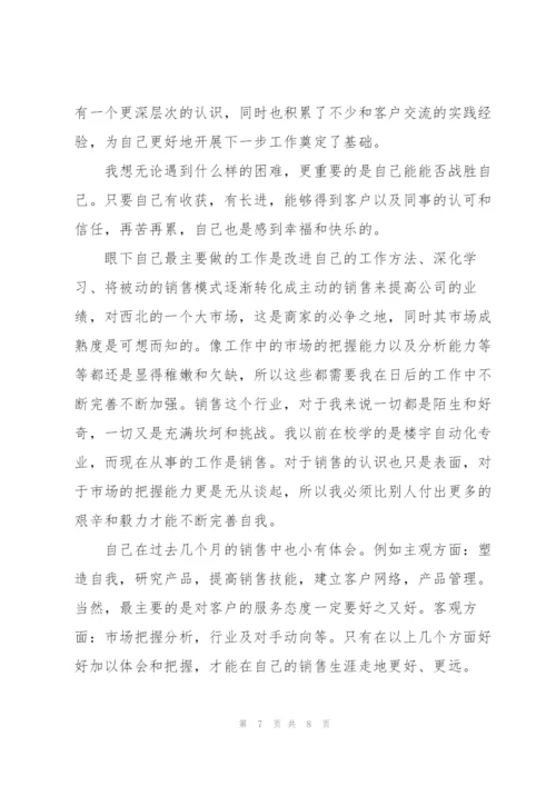 销售员试用期个人工作总结.docx