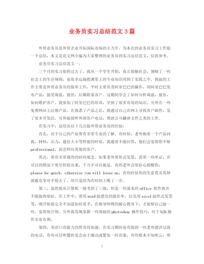 精编之业务员实习总结范文3篇.docx