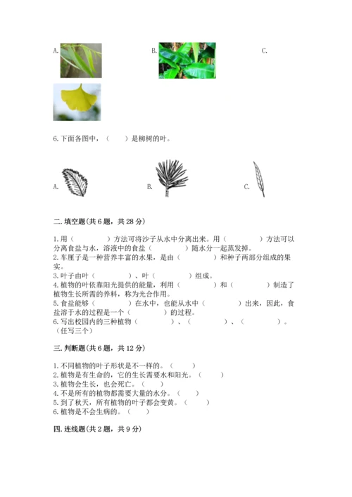 教科版科学一年级上册第一单元《植物》测试卷含答案【研优卷】.docx