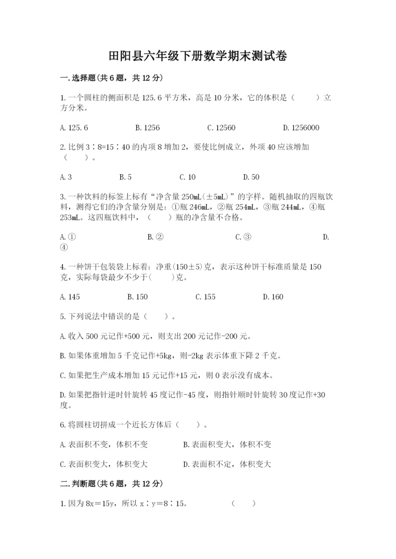 田阳县六年级下册数学期末测试卷及一套参考答案.docx