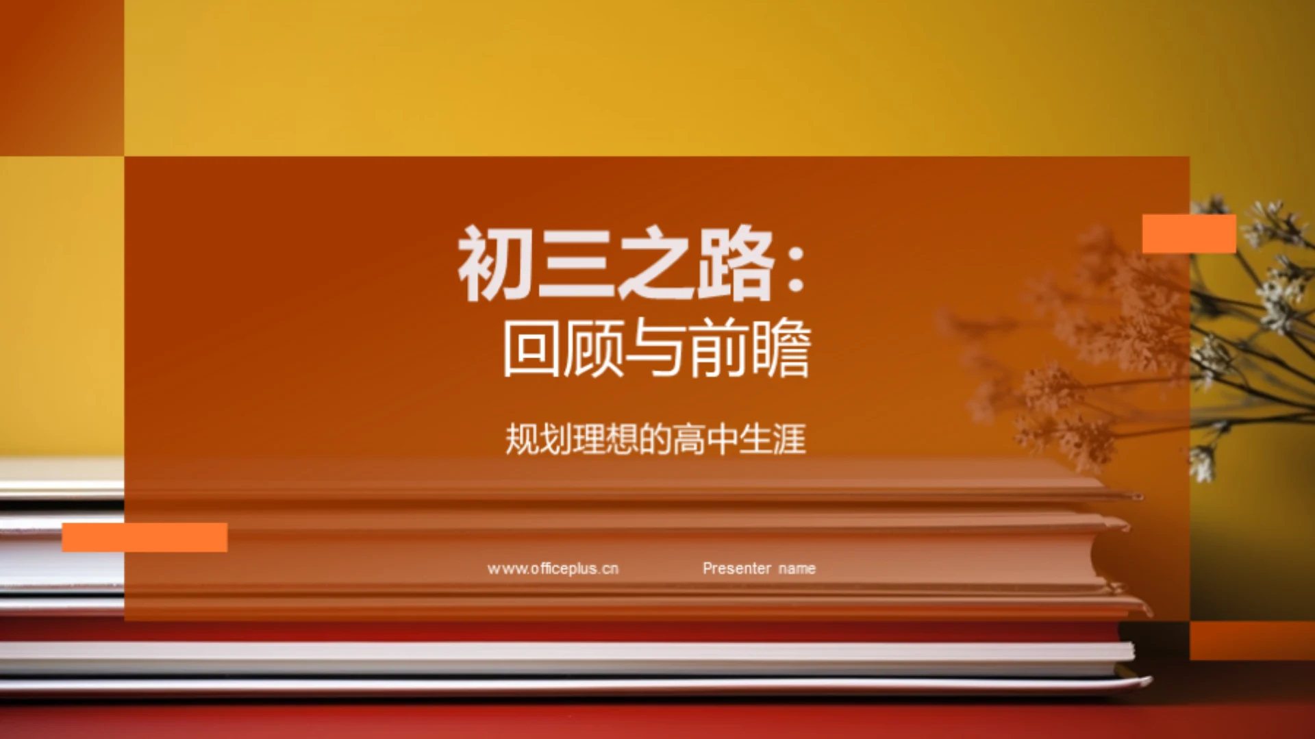 初三之路:回顾与前瞻