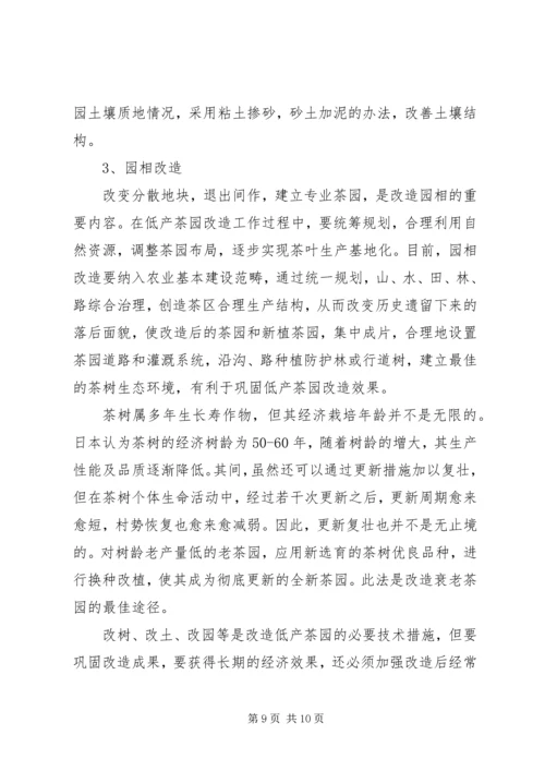 茶园改造实施方案 (3).docx