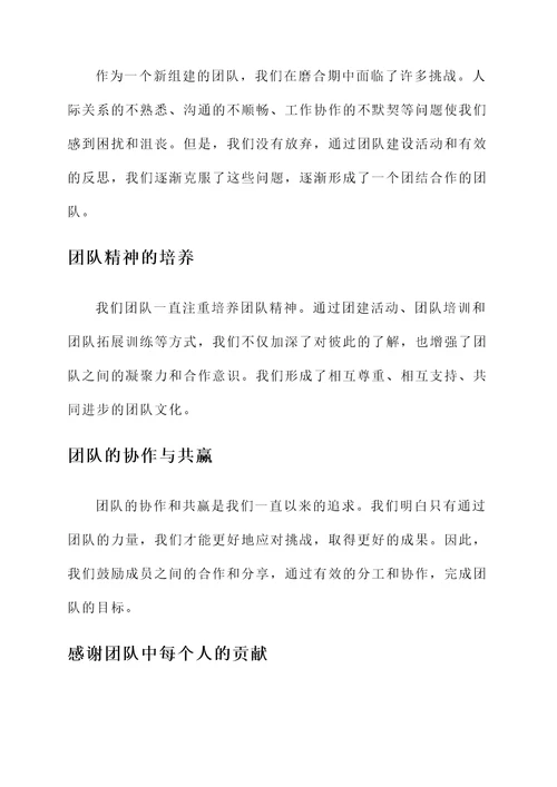集体团队感言