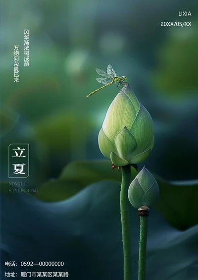 万物向荣立夏节气海报