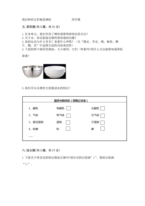 教科版一年级下册科学期末测试卷及答案【最新】.docx