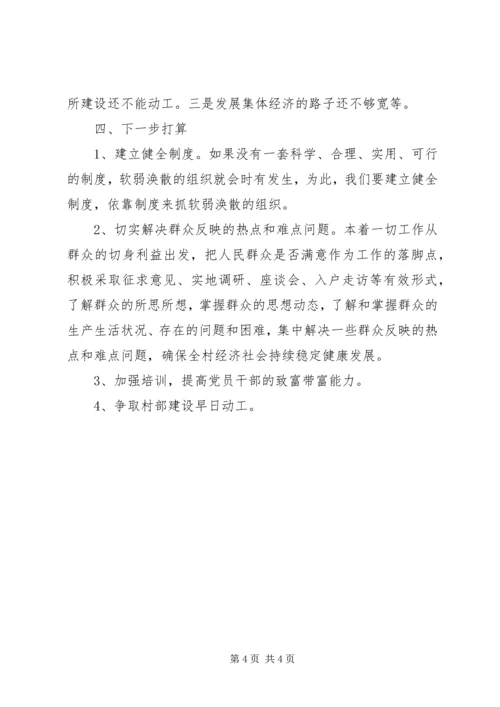 村党总支部整改情况报告.docx