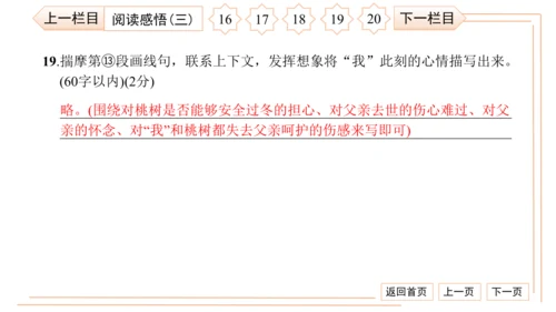 统编版八上语文第二次月考综合检测卷 习题课件（41张PPT）