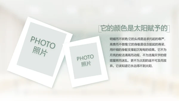 致青春毕业季大学毕业纪念册相册PPT