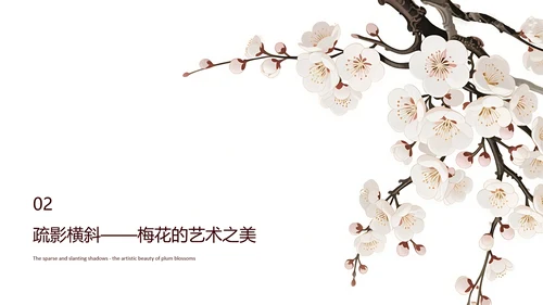 白色简约风梅花介绍PPT模板
