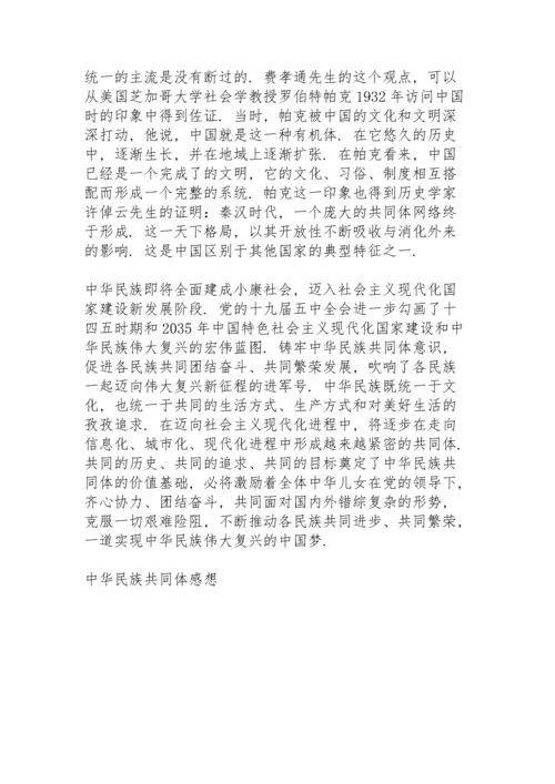 如何铸牢中华民族共同体意识.docx