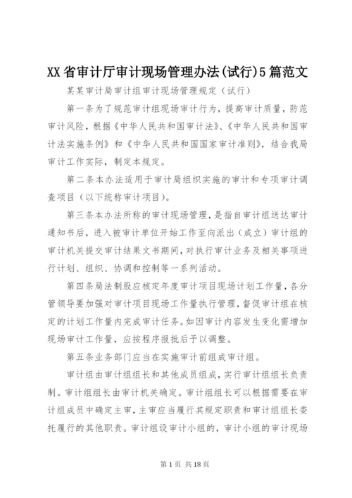 XX省审计厅审计现场管理办法(试行)5篇范文.docx