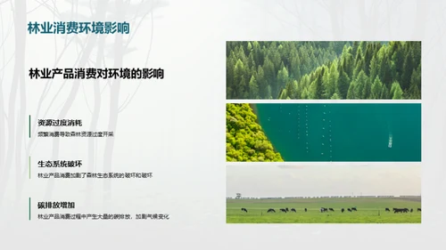 绿色林业：守护地球