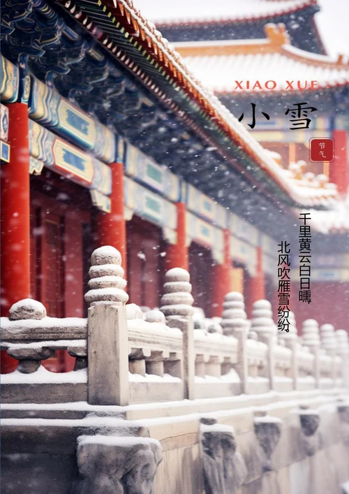 北方吹雁雪纷纷小雪海报