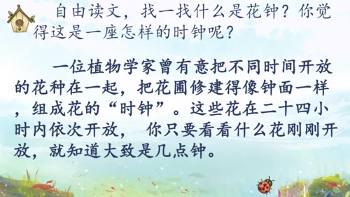 13《花钟》（课件）
