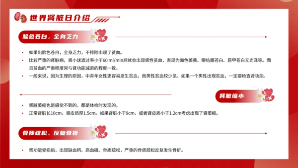 世界肾脏日慢性肾脏病通用PPT模板