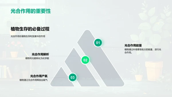 植物生长科学教学PPT模板