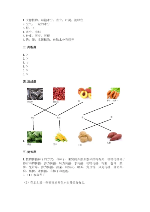 科学四年级下册第一单元《植物的生长变化》测试卷附完整答案（考点梳理）.docx