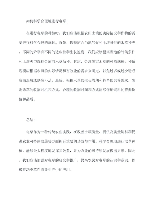 屯草的功效与作用