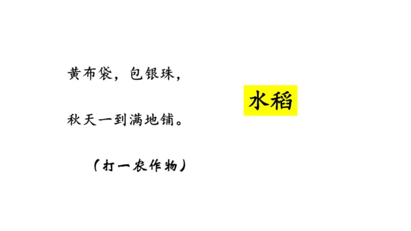 人文地理上册 3.1.1 稻作文化的印记 课件（共22张PPT）