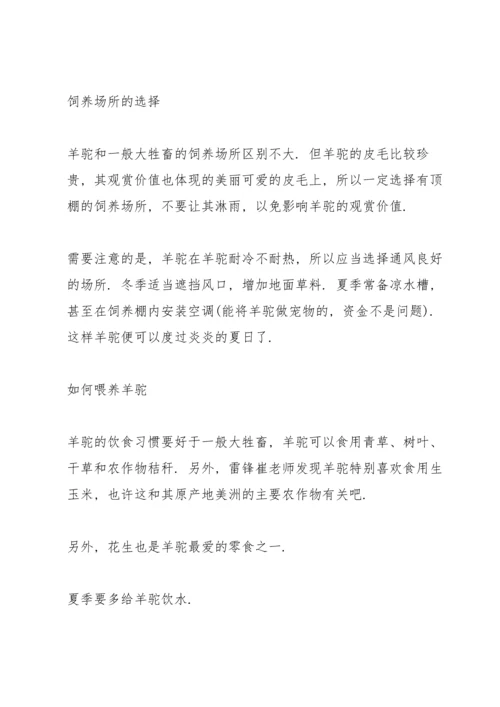 养宠物之后才没明白的心得体会.docx