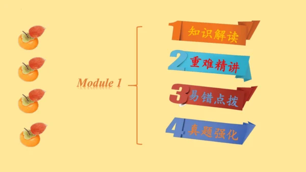 外研版（三年级起点）六年级英语下册期中核心考点集训 Module 1 复习课件(共61张PPT)