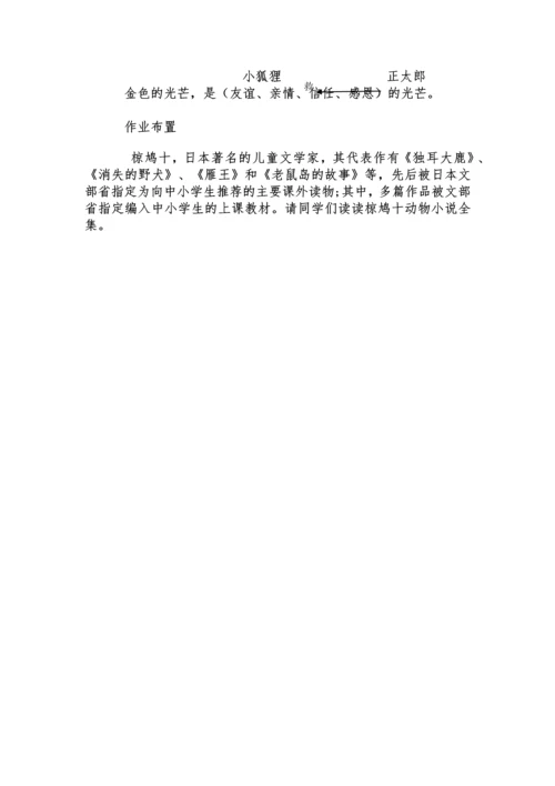 24金色的脚印公开课教学设计.docx