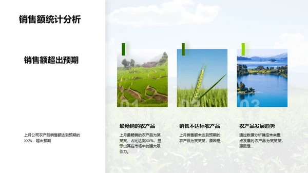 农产品销售复盘与策略