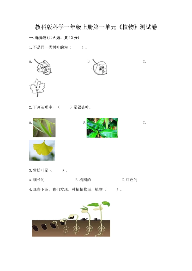 教科版科学一年级上册第一单元《植物》测试卷【轻巧夺冠】.docx