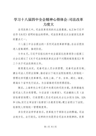 学习十八届四中全会精神心得体会-司法改革力度大.docx