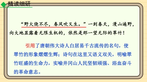 20 井冈翠竹 课件