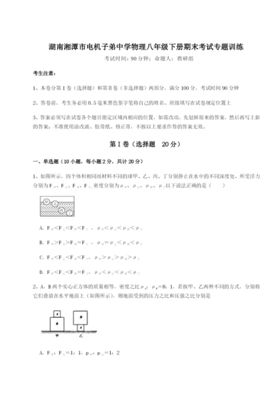 湖南湘潭市电机子弟中学物理八年级下册期末考试专题训练试题（含解析）.docx