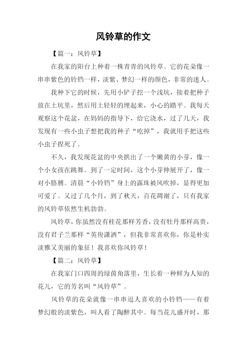 风铃草的作文.docx