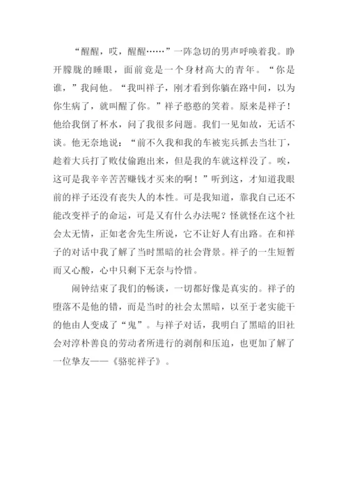 与祥子对话作文.docx