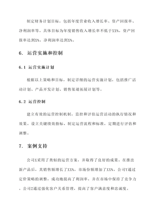 目标公司运营方案