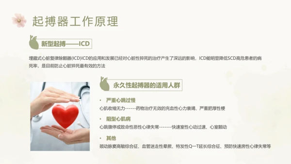 绿色简约风起搏器术后护理培训课件