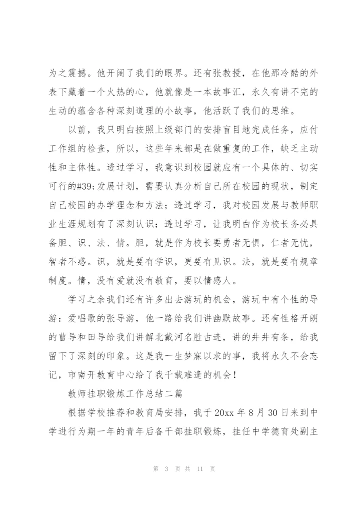 教师挂职锻炼工作总结三篇.docx