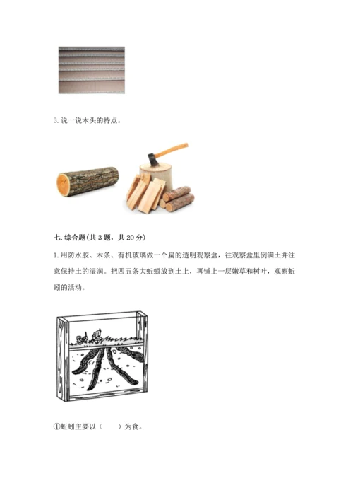 教科版科学二年级上册《期末测试卷》含解析答案.docx