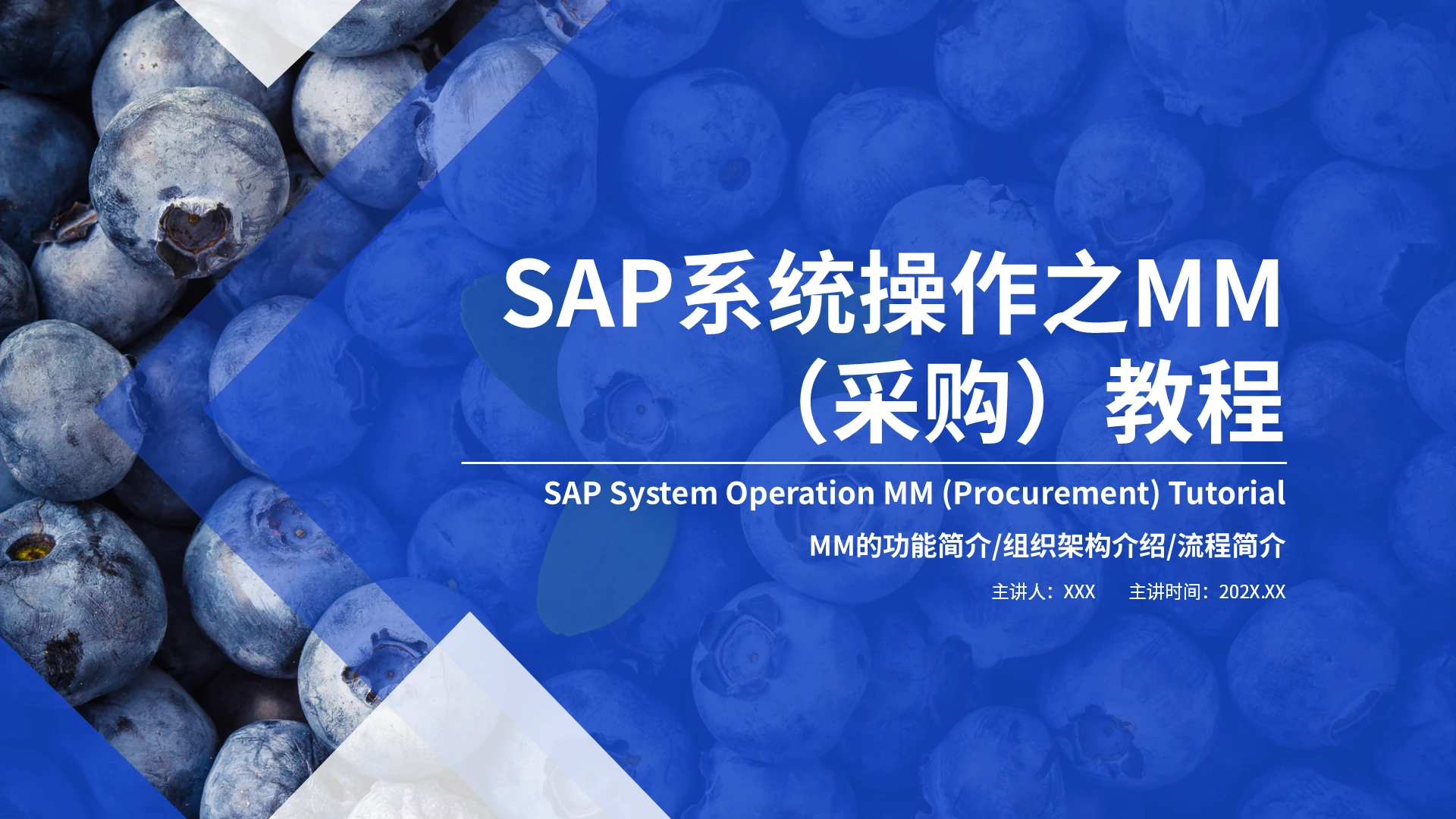蓝色几何极简商务SAP系统操作之MM采购教程培训PPTSAP系统操作之MM（采购）